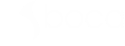 Boca Cleaning Services