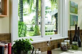 Hurricane windows overlooking back yard with palm trees