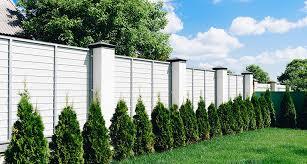 White fencing panels with evergreen shrubery in forground