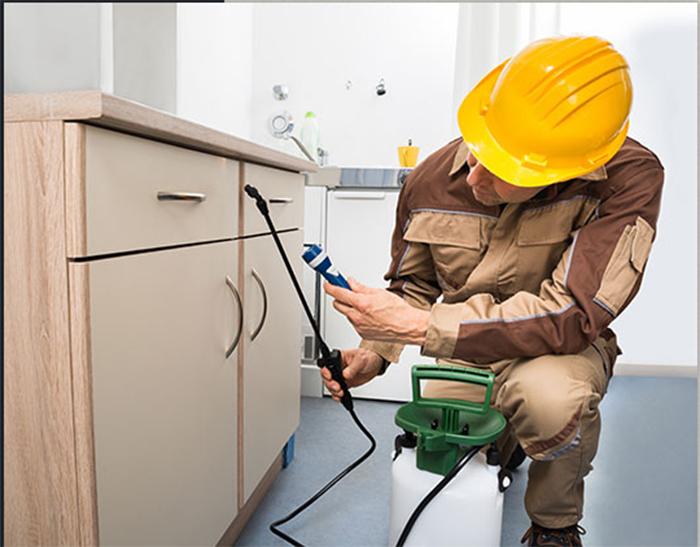 Exterminator spraying under countertop