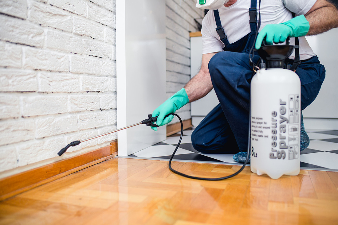 Exterminator spraying baseboards of Florida home