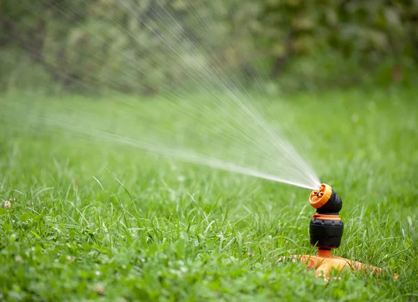 single sprinkler spraying lawn on sunny day