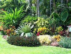 Landscaping pictorial using trees, shrubs and other fauna native to Florida