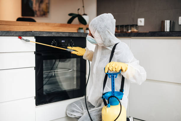 Hooded exterminator spraying kitchen surfaces