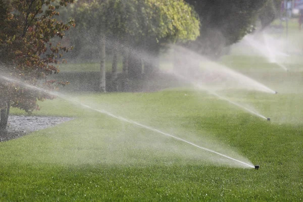 series of sprinklers spraying lawn and trees