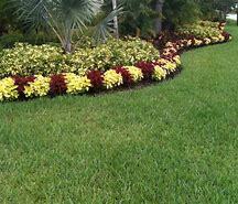 Finely manacured lawn with freeform bed of flowering plants