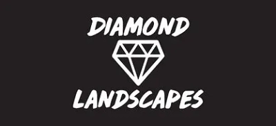 Diamond Landscapes