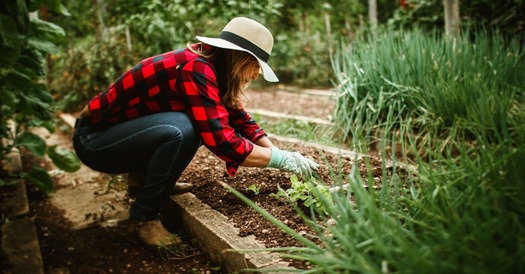 5 Landscaping Trends That Will Make Your Yard the Talk of the Neighborhood!