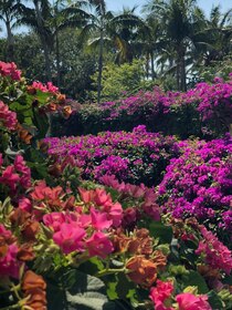 From Bland to Blooming: Gorgeous Florida Garden Designs to Transform Your Home