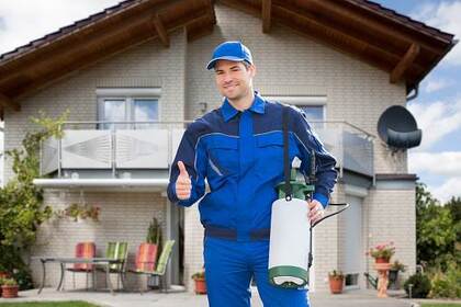5 Pest Control Myths Busted for Florida Homeowners