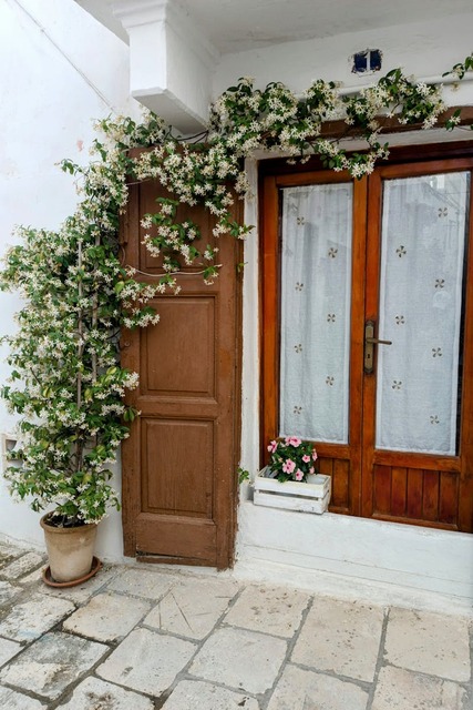 Why Your Front Door Might Be Hurting Your Home’s Curb Appeal—And What to Do!