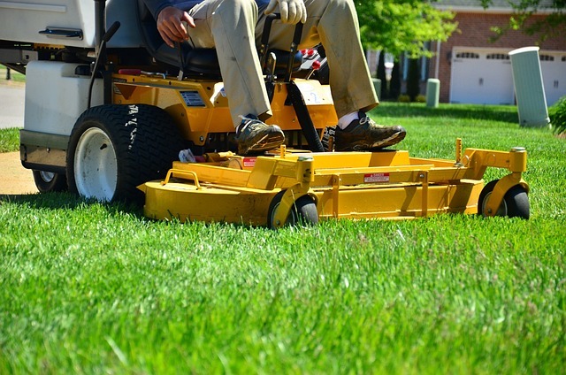 Top 5 Lawn Care Tips for Boca Raton Homeowners