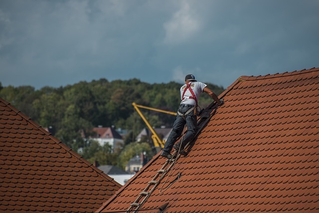 From Leaks to Luxury: Explore New Roofing Services Near You