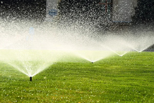 Revitalize Your Florida Landscape: Unlocking the Green Power of Sprinkler Systems for Vibrant Lawns and Gardens