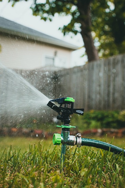 Revitalize Your Lawn with Expert Sprinkler Service Near You